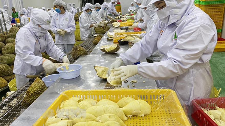 China officially imports Vietnamese frozen durian and fresh coconut